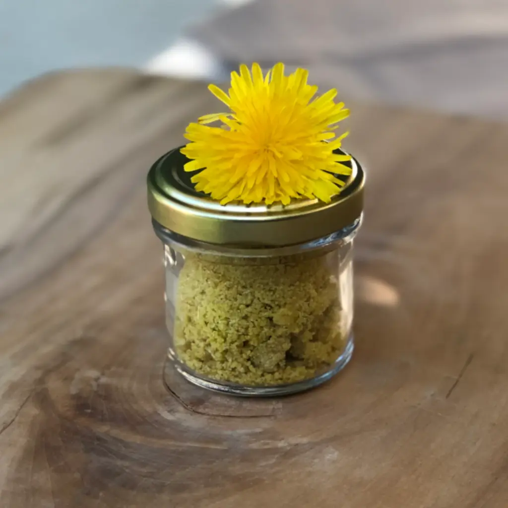 Löwenzahnzucker selber gemacht im Glas mit einer Löwenzahnblüte