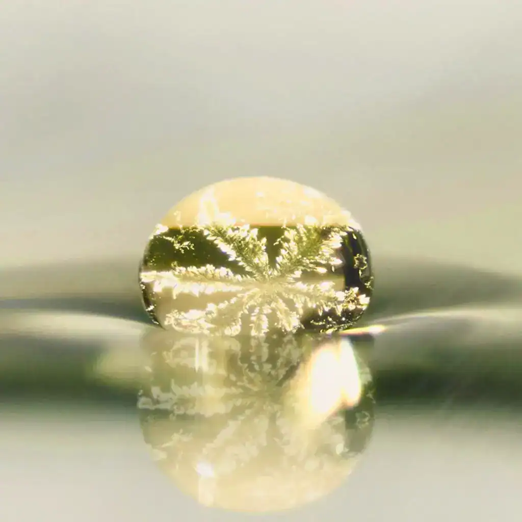 eine Aufnahme eines Tropfens Naturkosmetik mit Biophotonen - bei Claresco Cosmetic